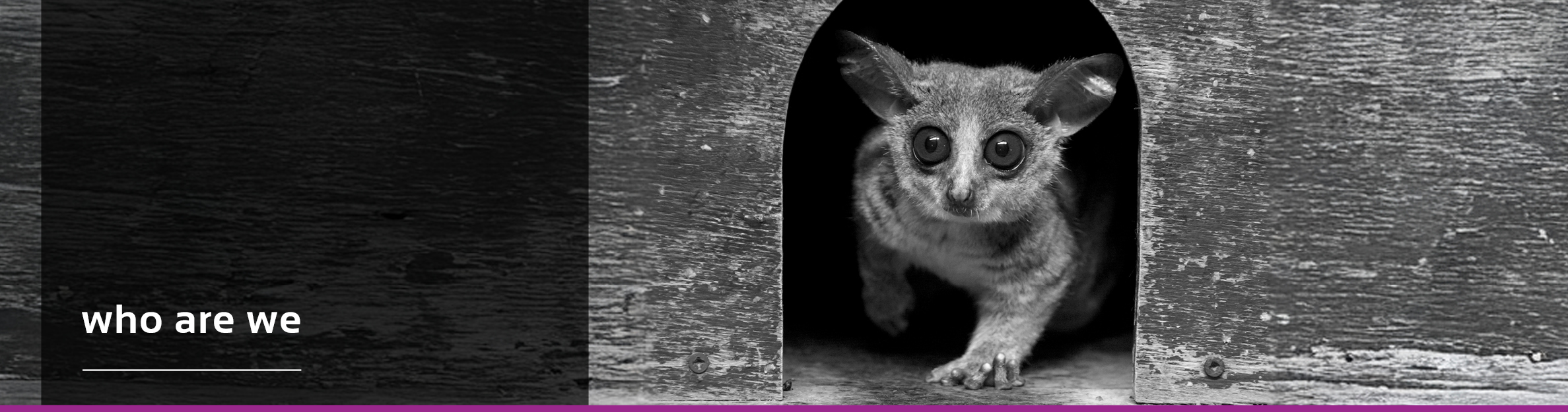 Galago Group Home Banner 1140x5004